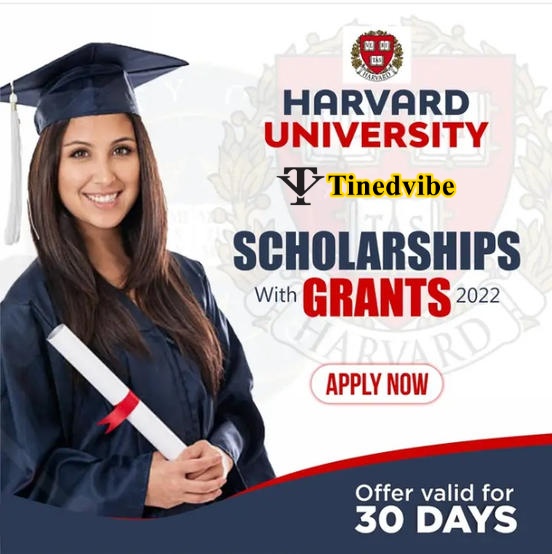 phd scholarship in harvard university